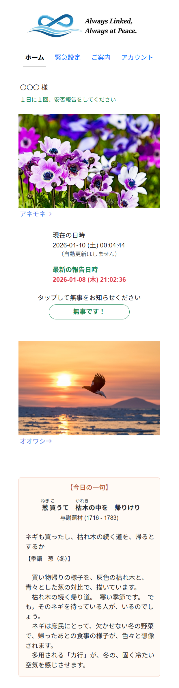 画像イメージ